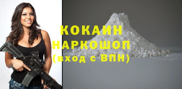 бошки Няндома