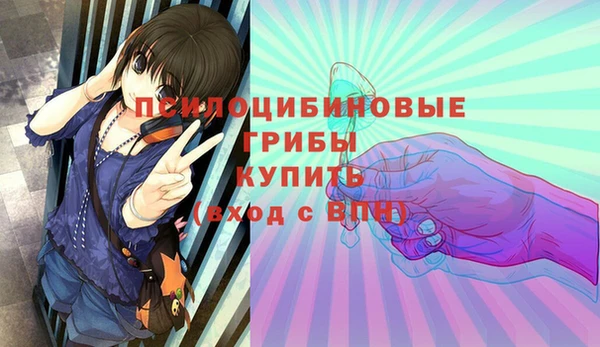 бошки Няндома
