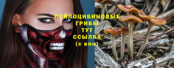 мяу мяу мука Нягань
