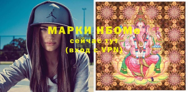 бошки Няндома